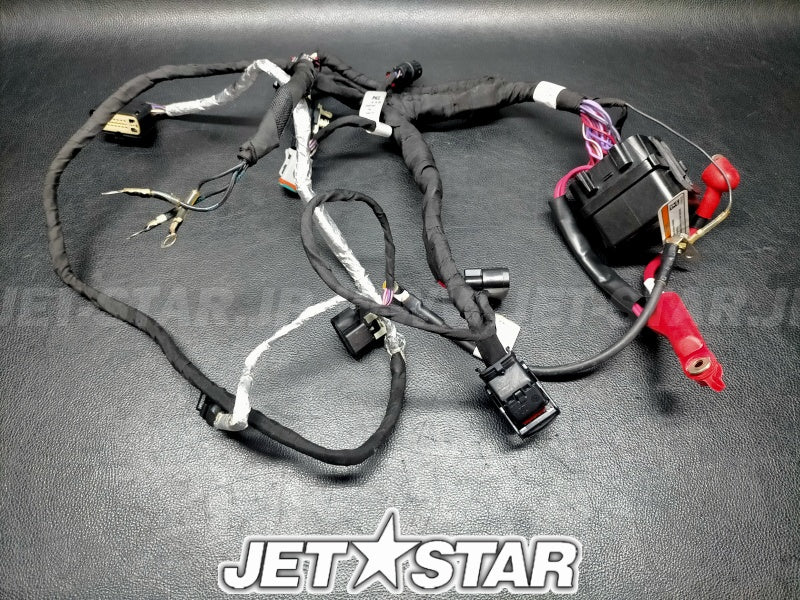 Used 278003783 MAIN WIRING HARNESS [X2308-55]