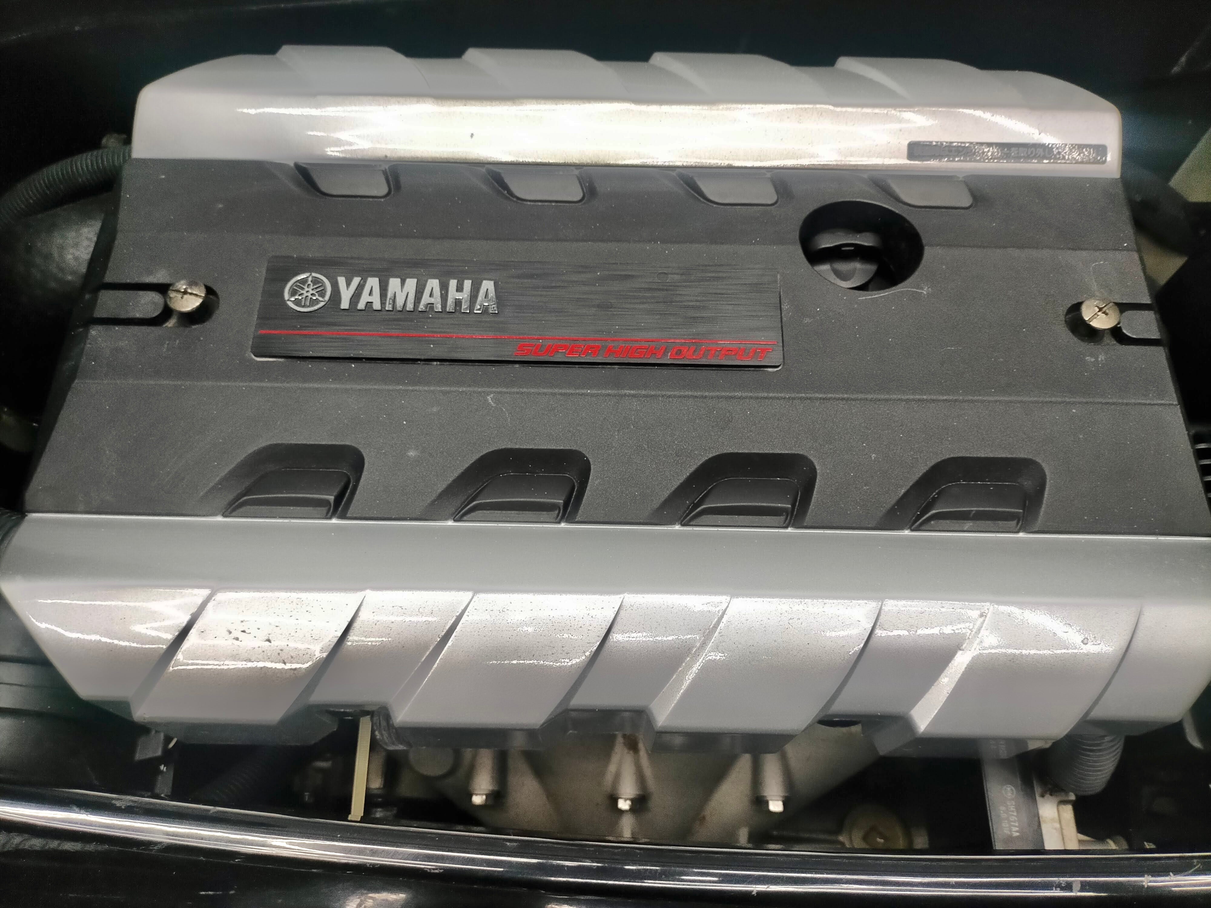 FZS SHO '09 125Hours [Almost Fresh water use only, Good condition]