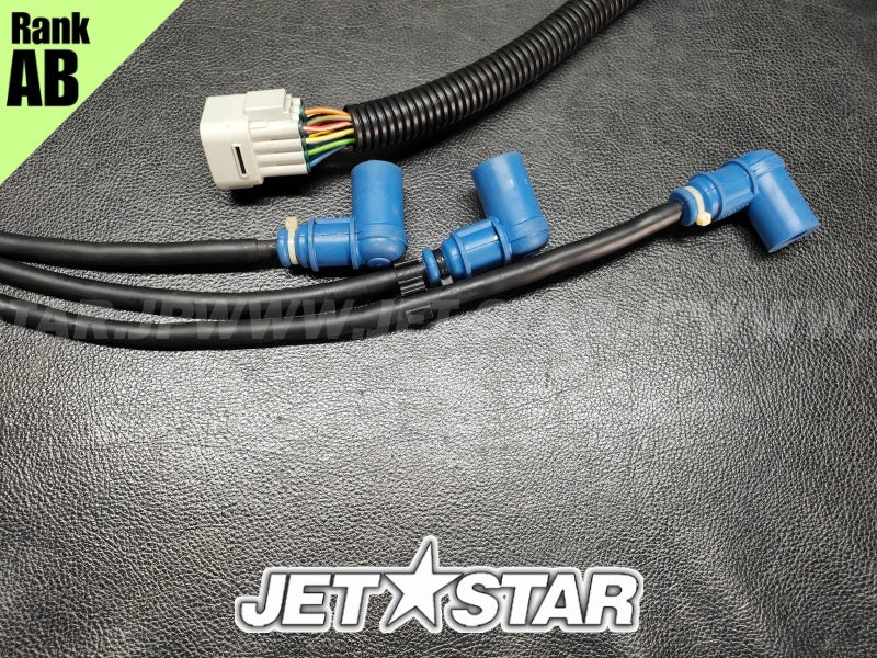 Used 21119-3757 IGNITER [K2839-13]