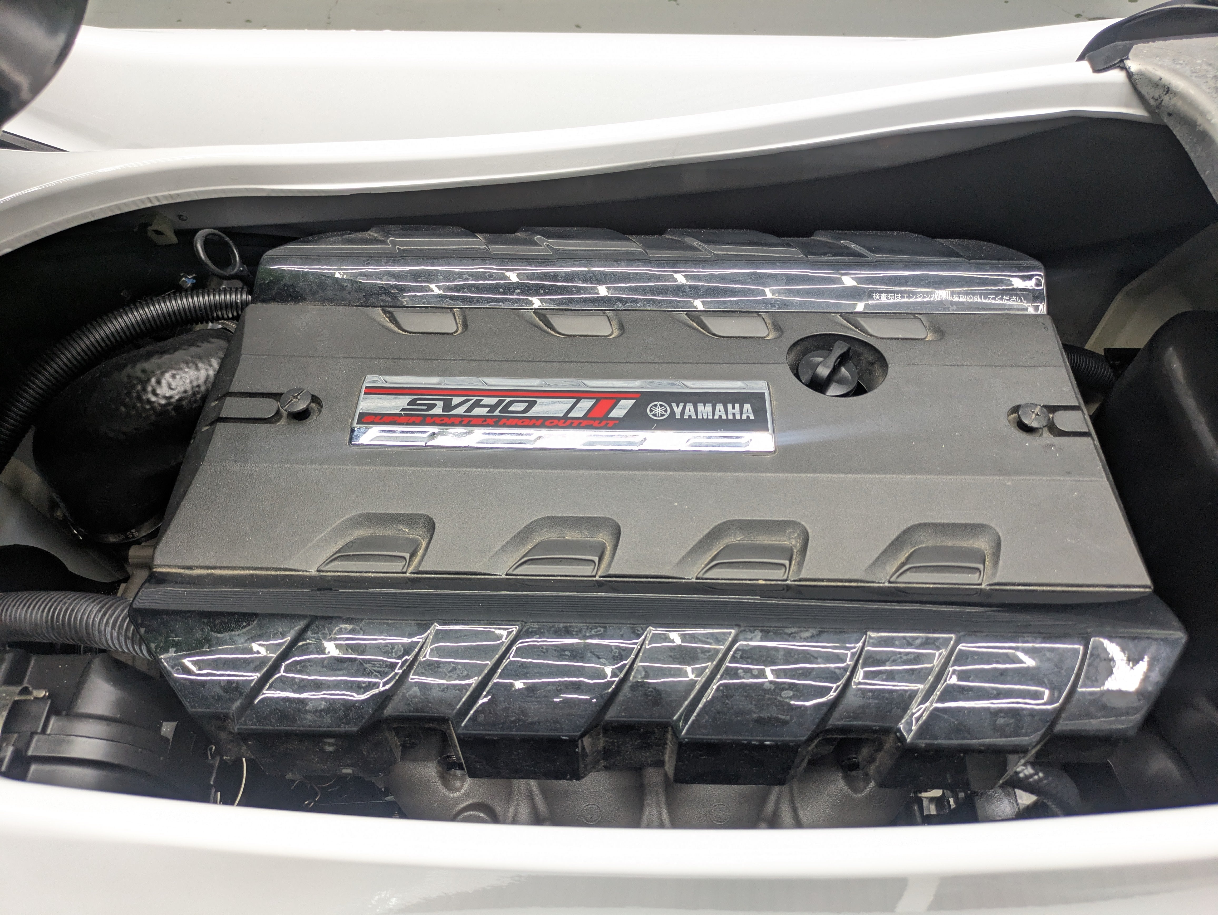 FZS SVHO '16 58Hours 1800cc [Excellent condition]