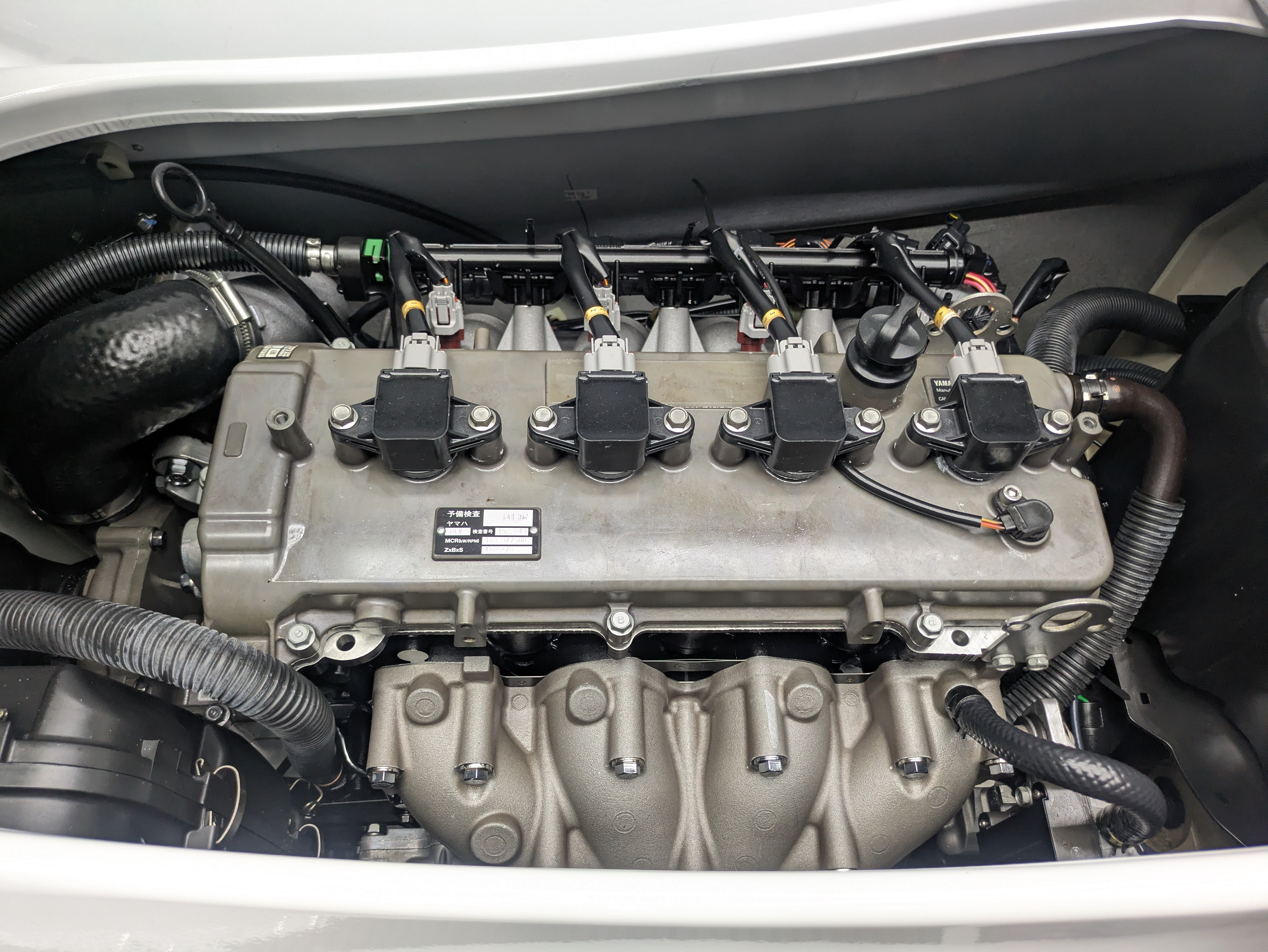 FZS SVHO '16 58Hours 1800cc [Excellent condition]