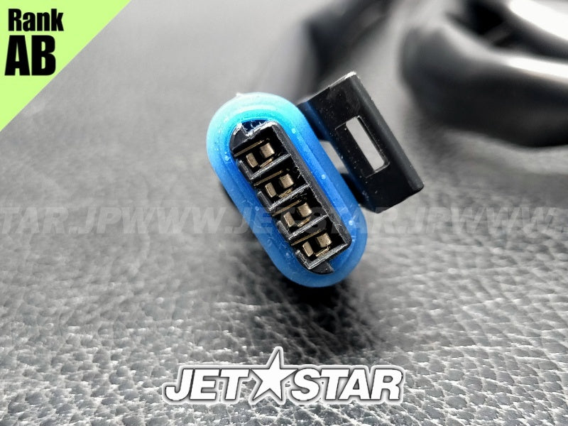 Used 278002111 DIGITAL MULTIFUNCTION GAUGE HARNESS [S1330-19]