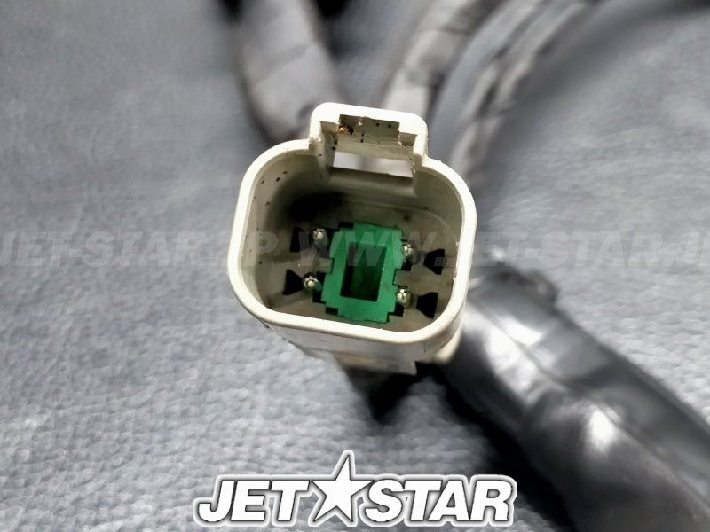 Used 420664951 ENGINE WIRING HARNESS ASS'Y [S1497-28]