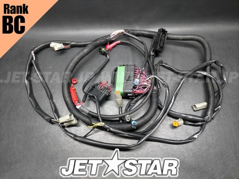 Used 278002161 MAIN HARNESS [S3177-18]