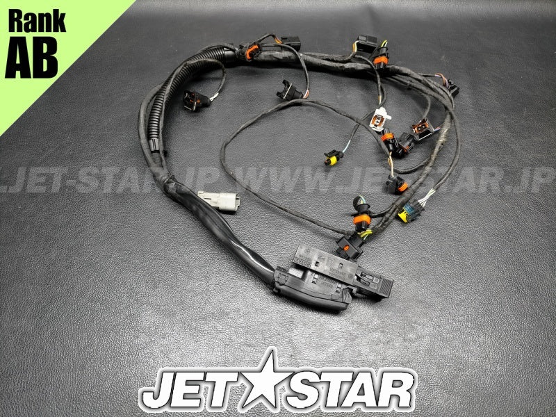 Used 420665205 ENGINE WIRING HARNESS ASS'Y [S3177-26]