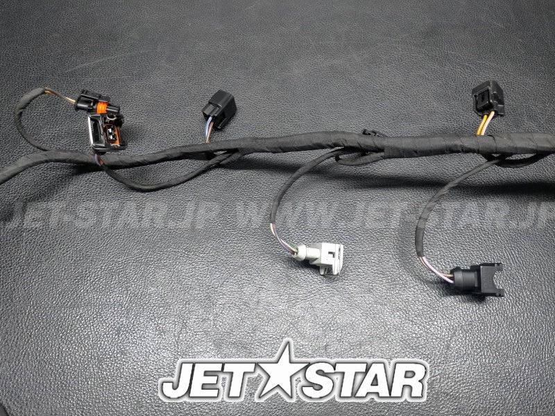 Used 420665205 ENGINE WIRING HARNESS ASS'Y [S3486-24]