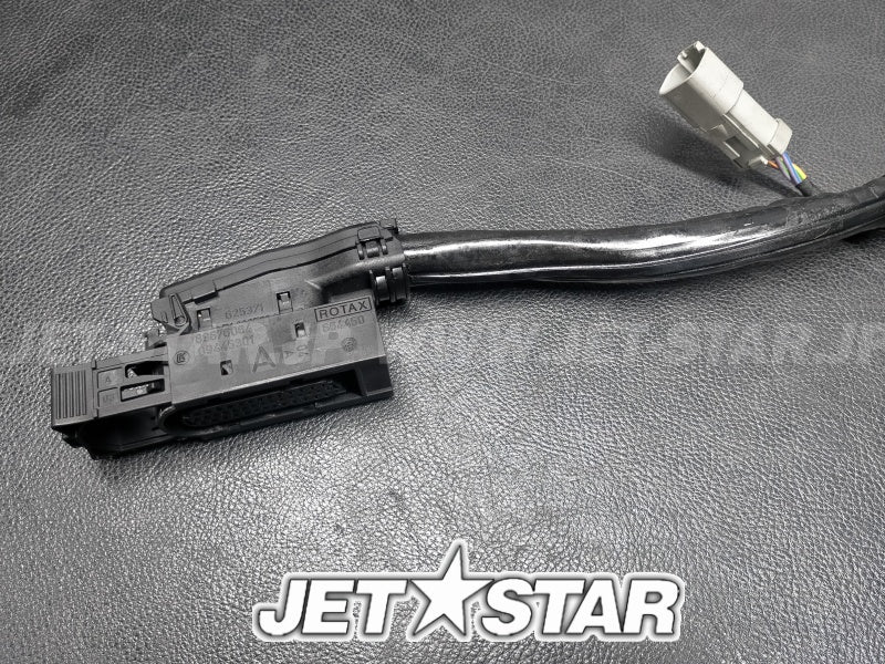 Used 420665205 ENGINE WIRING HARNESS ASS'Y [S3486-24]