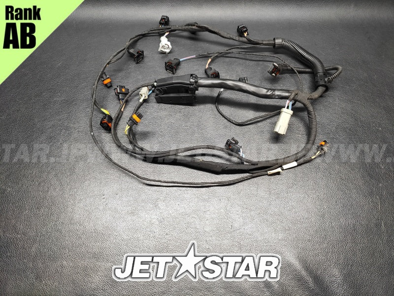 Used 420664951 ENGINE WIRING HARNESS ASS'Y [S5613-29]