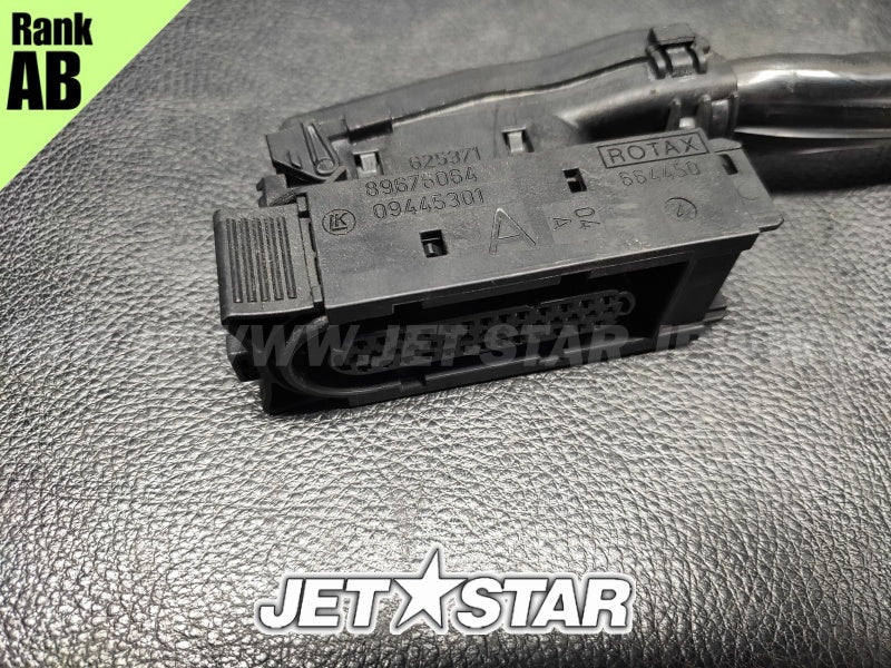 Used 420664951 ENGINE WIRING HARNESS ASS'Y [S5613-29]