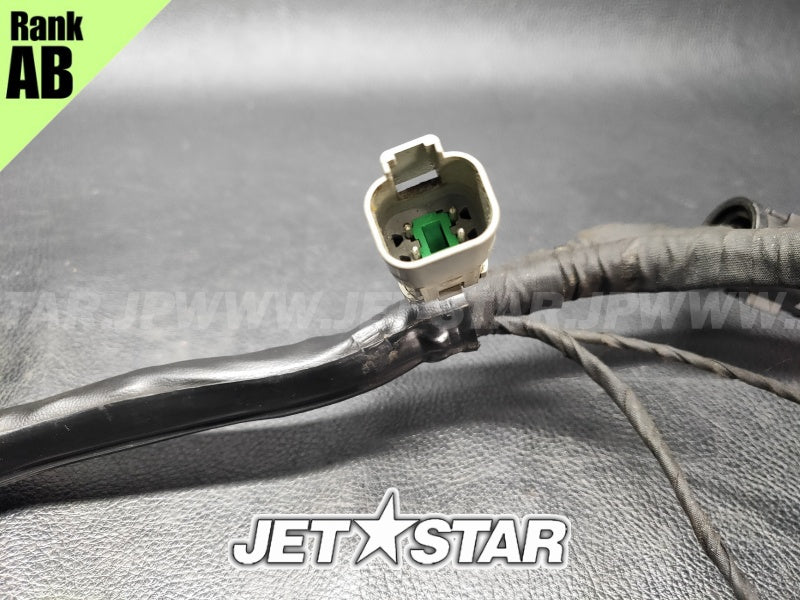 Used 420664951 ENGINE WIRING HARNESS ASS'Y [S5613-29]