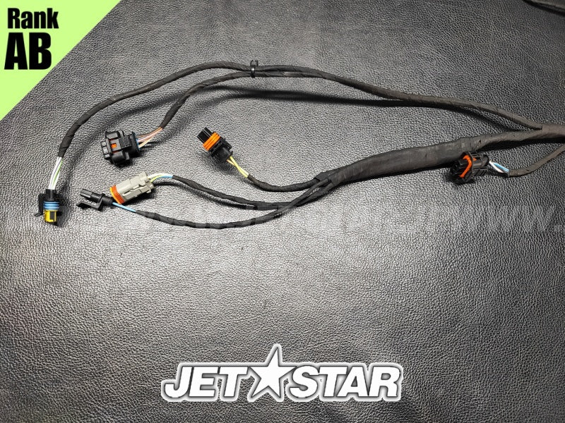 Used 420664951 ENGINE WIRING HARNESS ASS'Y [S5613-29]