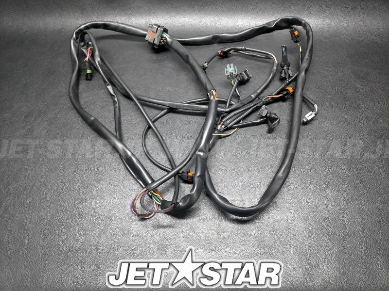 Used 204470679 ENGINE HARNESS ASS'Y [S6151-06]