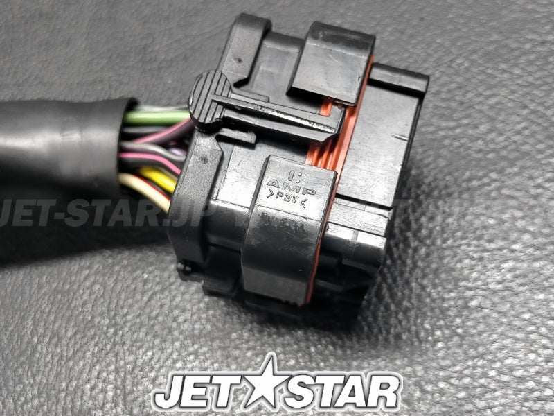 Used 204470679 ENGINE HARNESS ASS'Y [S6151-06]