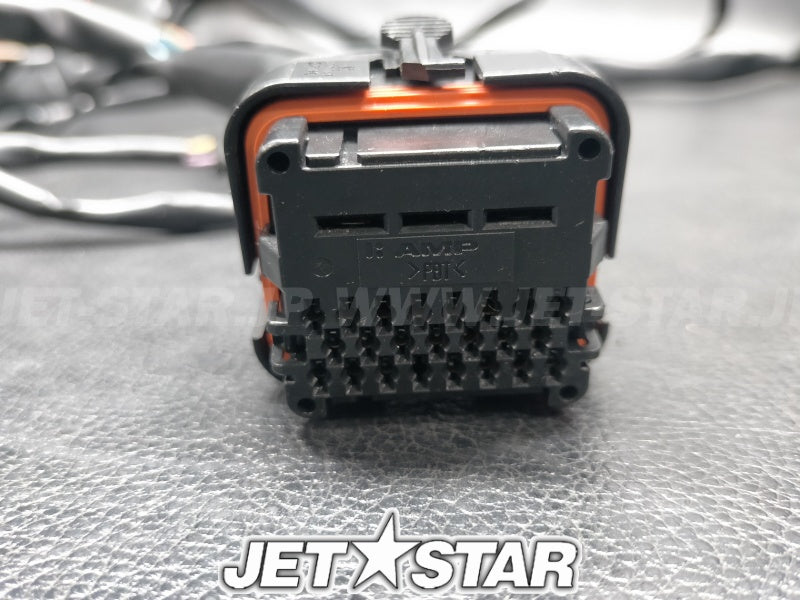 Used 204470679 ENGINE HARNESS ASS'Y [S6151-06]