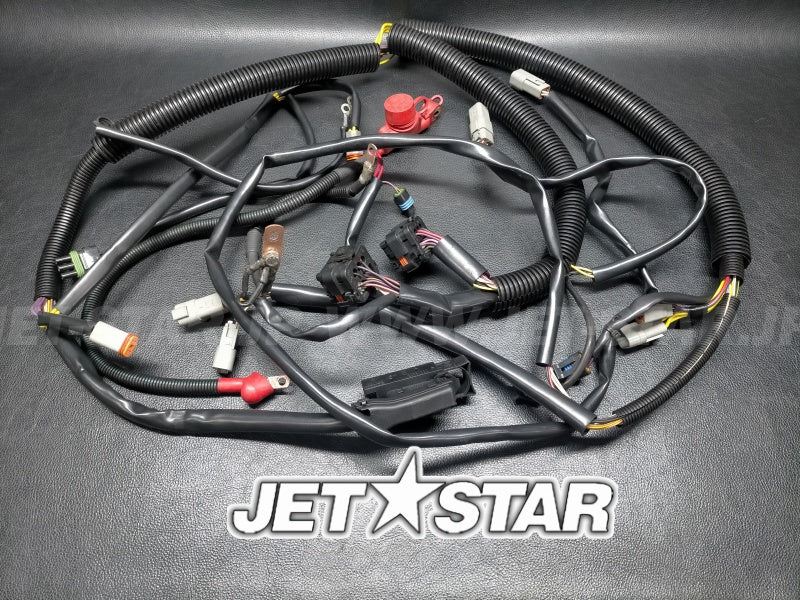 Used 278002119 MAIN HARNESS [S9428-20]