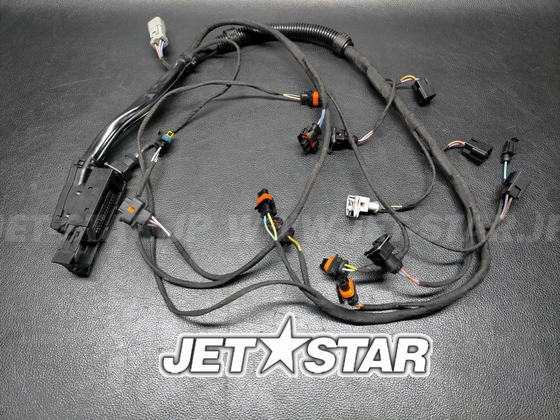 Used 420665205 ENGINE WIRING HARNESS ASS'Y [S9428-25]