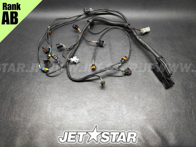 Used 420665205 ENGINE WIRING HARNESS ASS'Y [S9522-23]