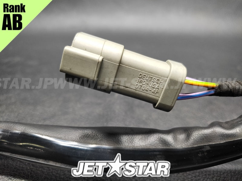 Used 420665205 ENGINE WIRING HARNESS ASS'Y [S9522-23]