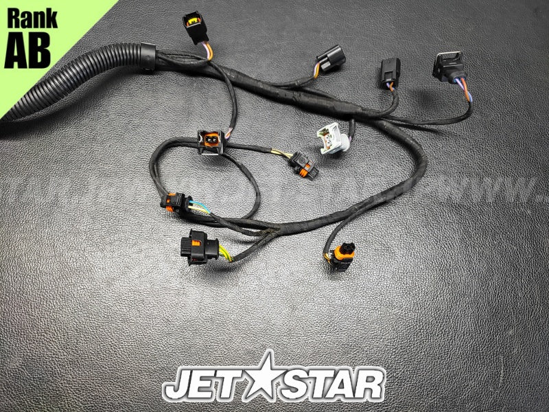 Used 420665205 ENGINE WIRING HARNESS ASS'Y [S9522-23]