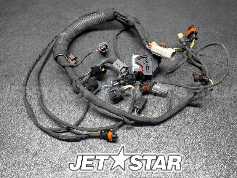 Used 420665206 ENGINE WIRING HARNESS ASS'Y [X222-010]