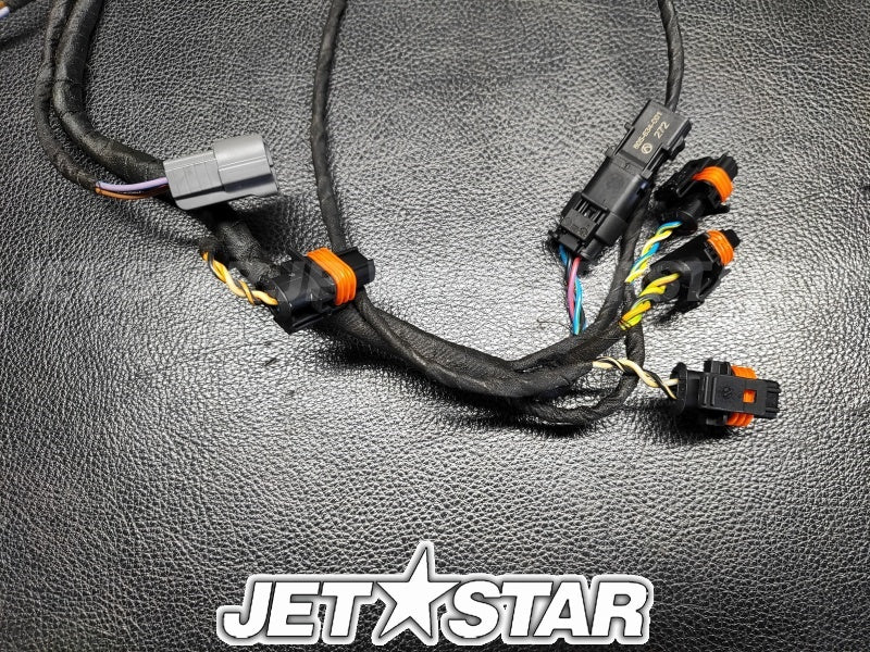 Used 420665206 ENGINE WIRING HARNESS ASS'Y [X2307-91]