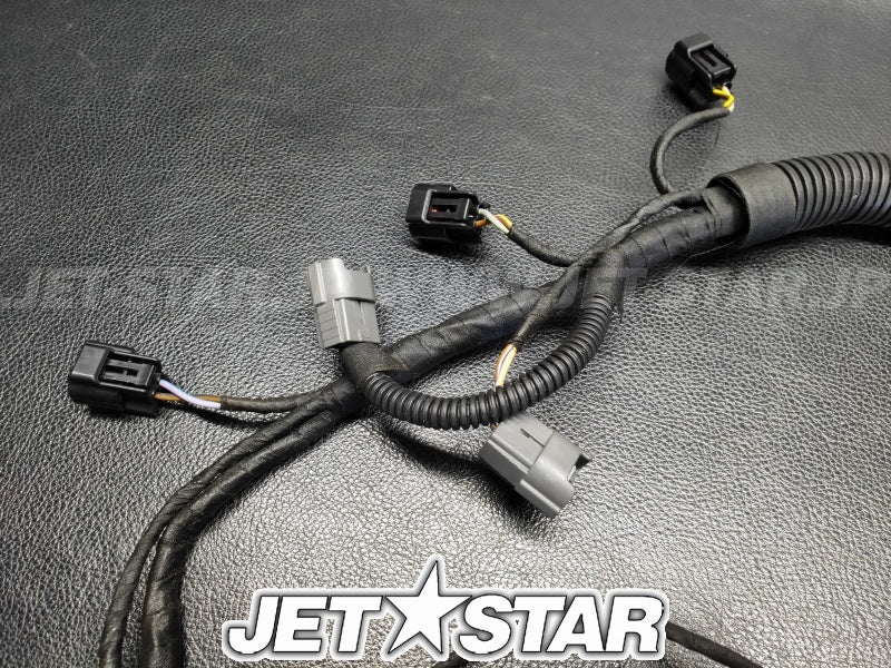 Used 420665206 ENGINE WIRING HARNESS ASS'Y [X2307-91]