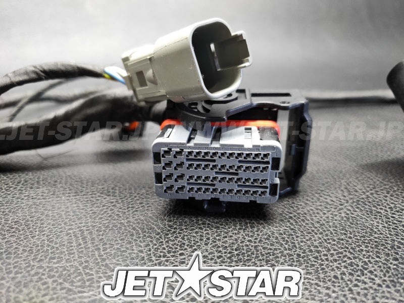 Used 420665206 ENGINE WIRING HARNESS ASS'Y [X2307-91]