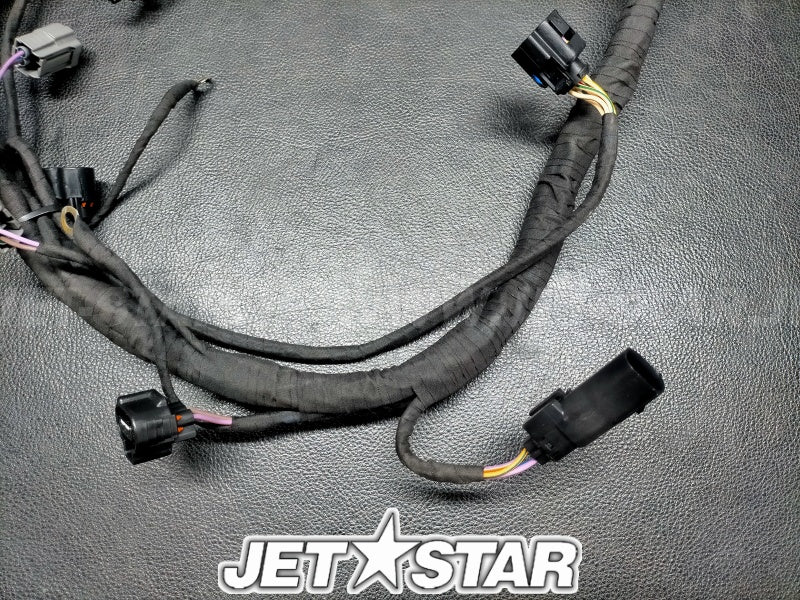 Used 420964120 HARNESS [X2308-53]