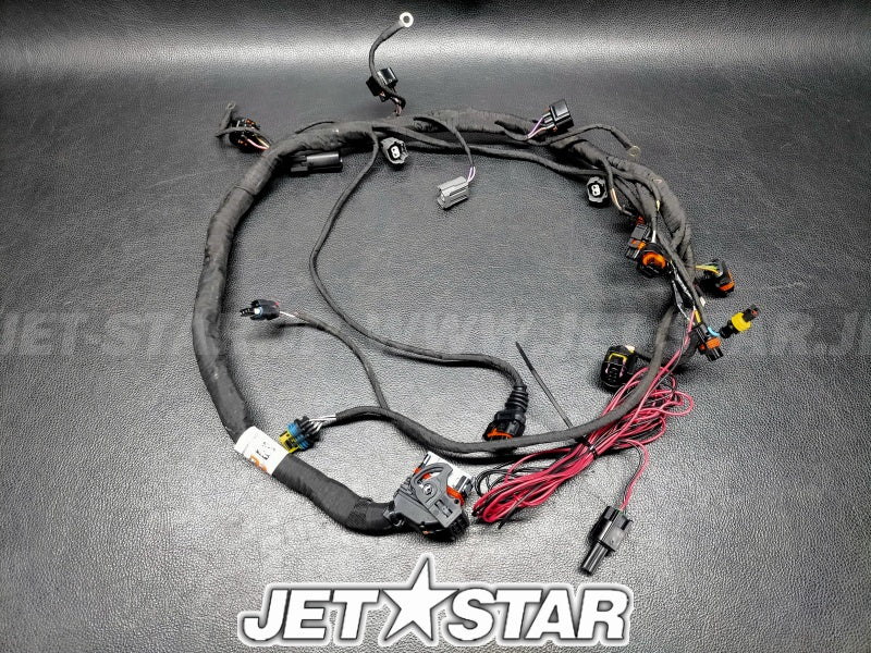 Used 420964084 ENGINE WIRING HARNESS ASS'Y [X2308-75]