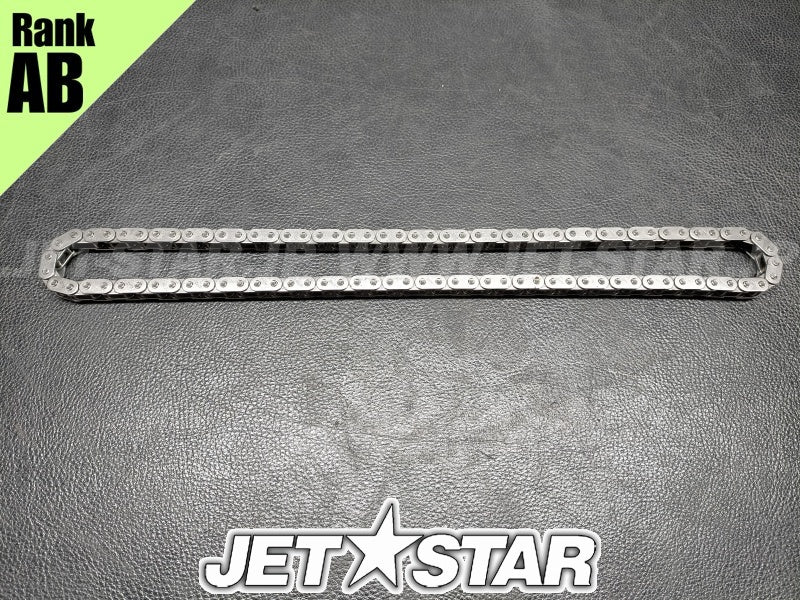 Used 420898042 CAMSHAFT CHAIN [X2311-99]