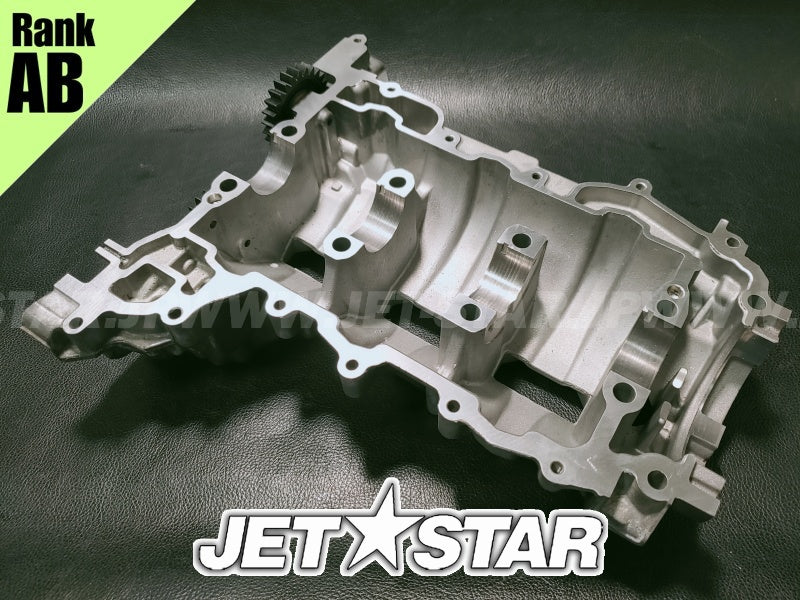 Used 420894026 CRANKCASE ASS'Y [X2401-53]