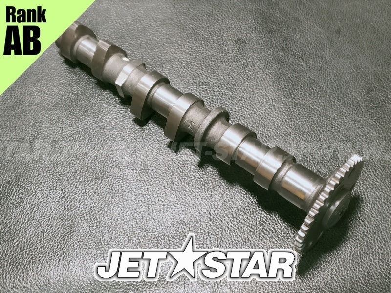 Used 420820200 CAMSHAFT INTAKE [X2401-63]