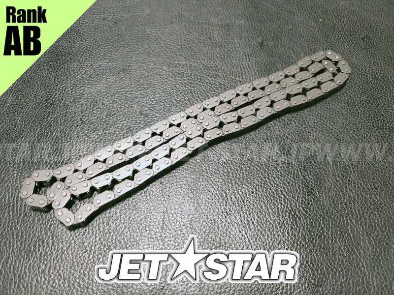 Used 420297086 CAMSHAFT CHAIN [X2401-65]