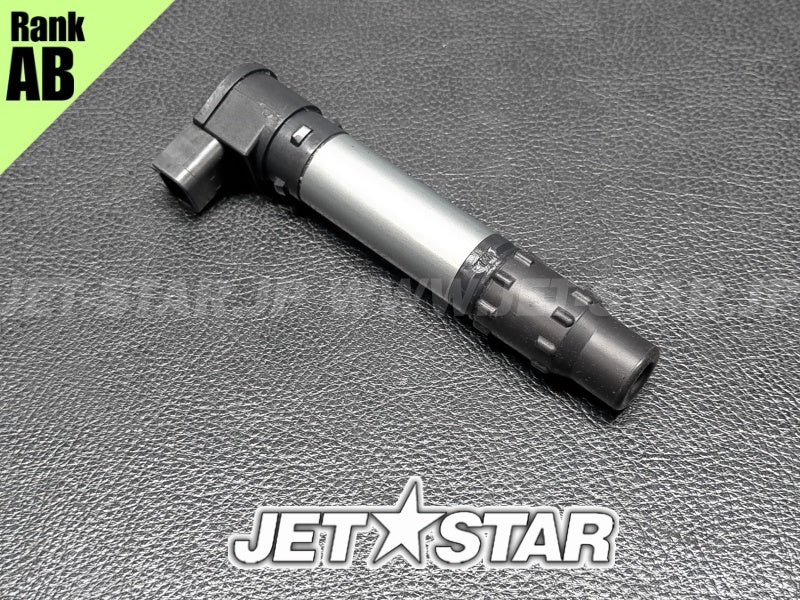 Used 420664020 IGNITION COIL [X2405-77]