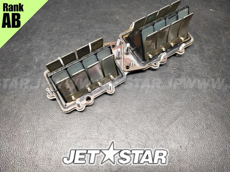 Used 66E-13610-00-00 REED VALVE ASSY [Y0861-02]