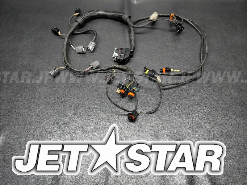 Used 420665206 ENGINE WIRING HARNESS ASS'Y [S0565-29]