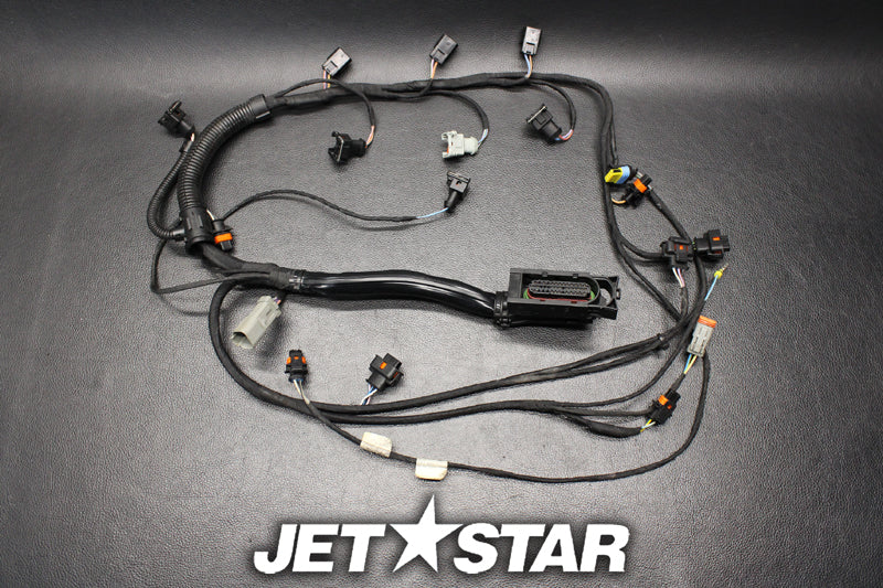 Used 420664056 WIRING HARNESS ASS'Y [S206-030]