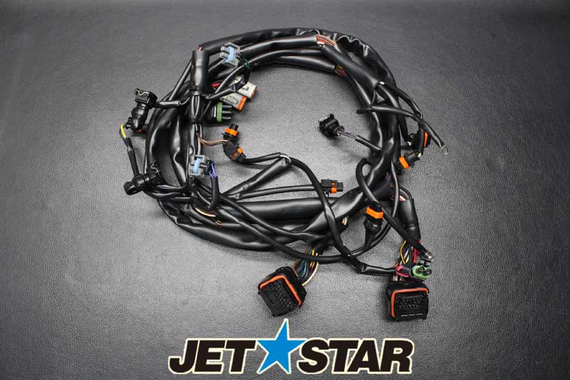 Used 278001726 REAR HARNESS ASS'Y [S218-023]