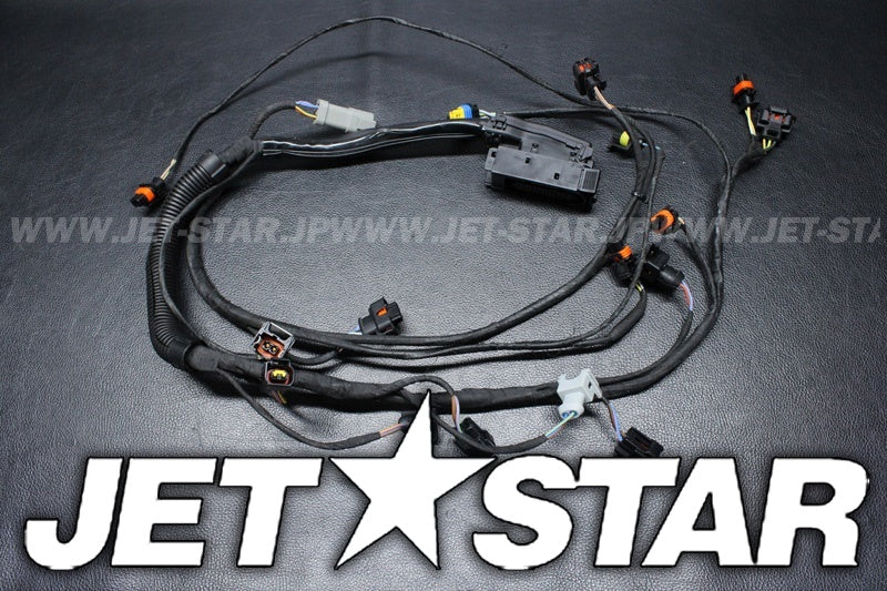 Used 420665205 ENGINE WIRING HARNESS ASS'Y [S2547-30]