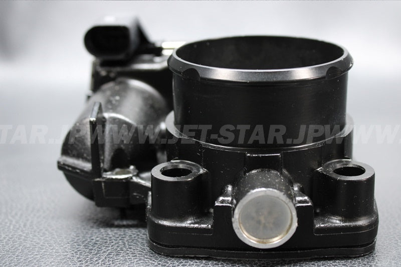 Used 420892592 THROTTLE BODY [S4455-01]