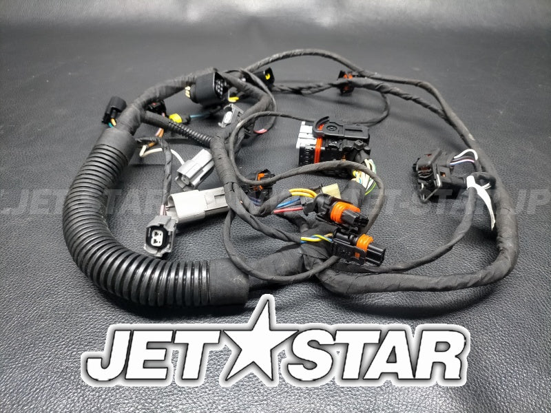 Used 420665206 ENGINE WIRING HARNESS ASS'Y (WITH DEFECT) [S4519-31]