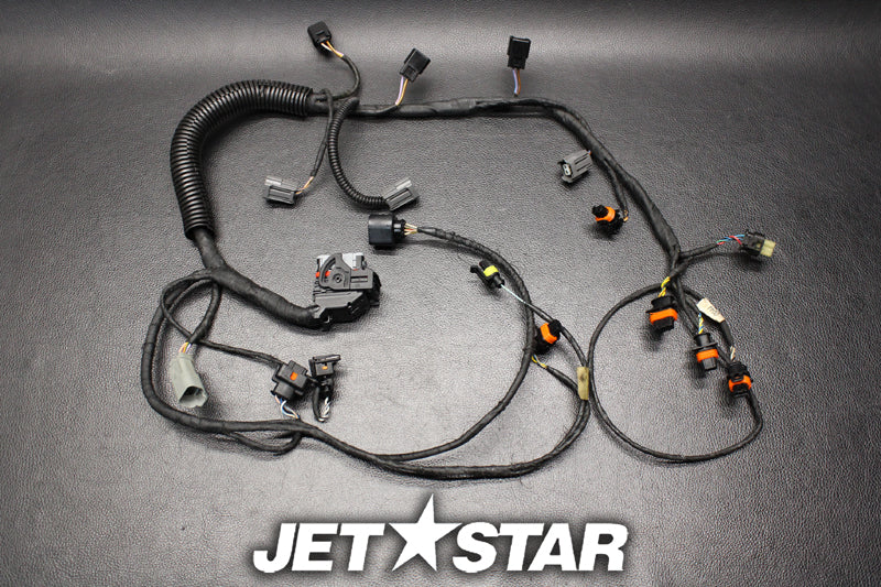 Used 420864220 ENGINE WIRING HARNESS ASS'Y [S607-040]