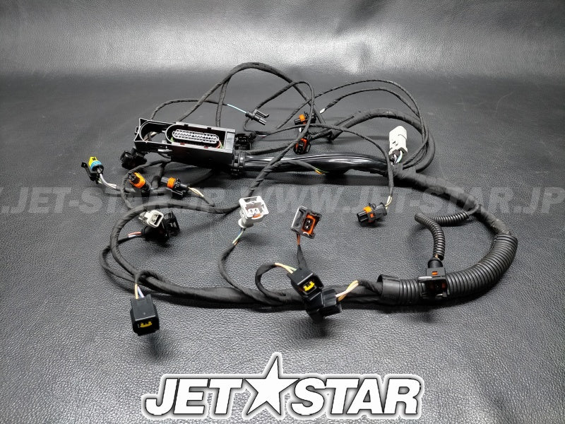Used 420664056 WIRING HARNESS ASS'Y [S6108-28]