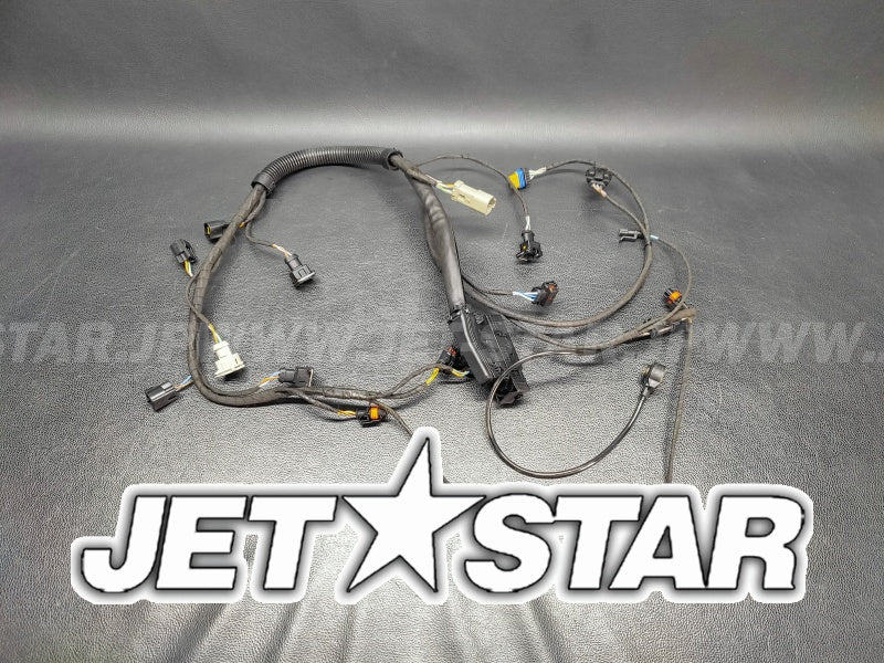 Used 420665205 ENGINE WIRING HARNESS ASS'Y [S6442-10]