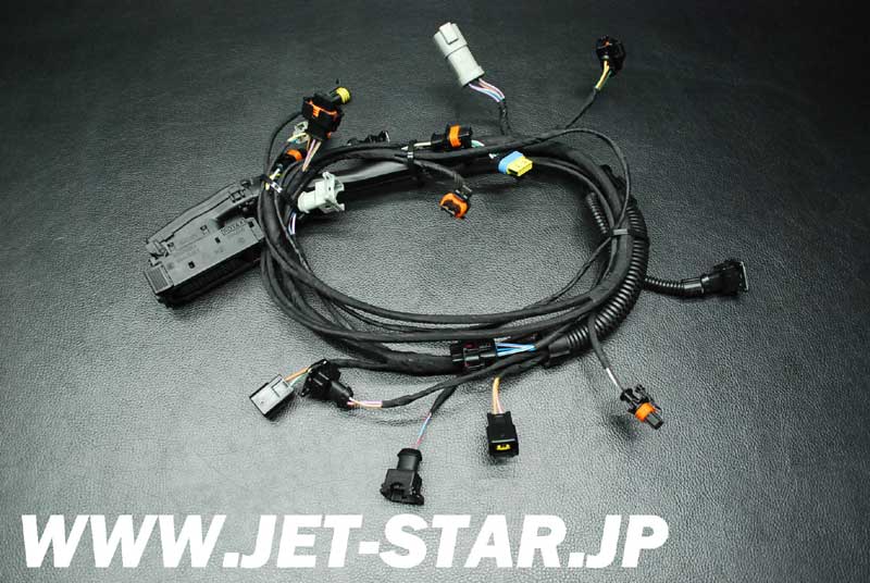 Used 420664056 WIRING HARNESS ASS'Y [S651-072]