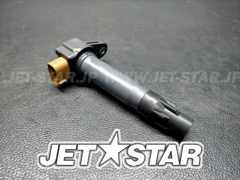 Used 420666142 IGNITION COIL [S6542-17]