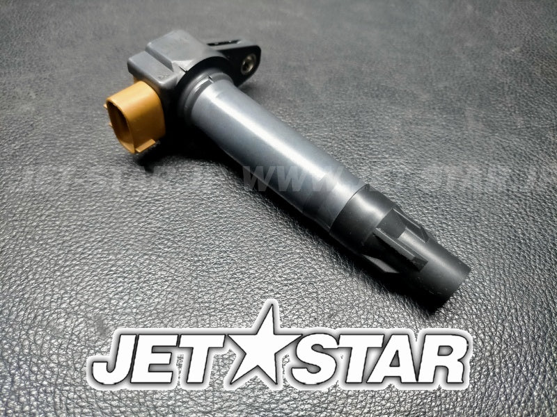 Used 420666142 IGNITION COIL [S6542-18]