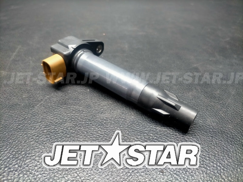 Used 420666142 IGNITION COIL [S6542-19]