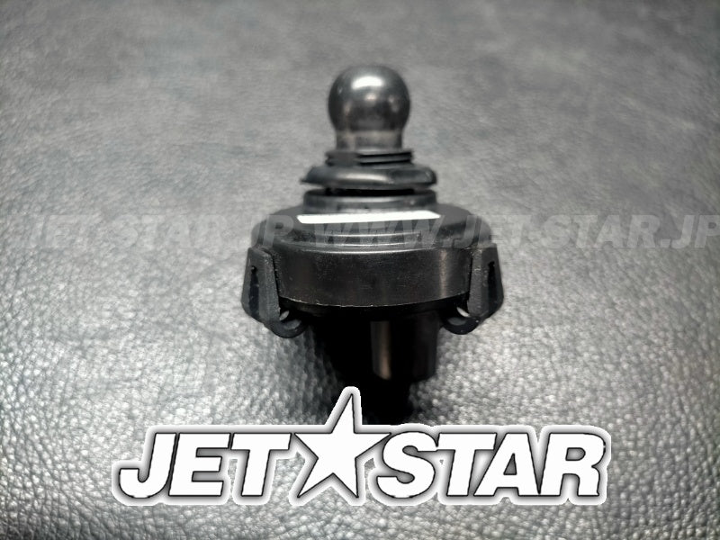 Used 515178840 DESS SWITCH [S6542-27]