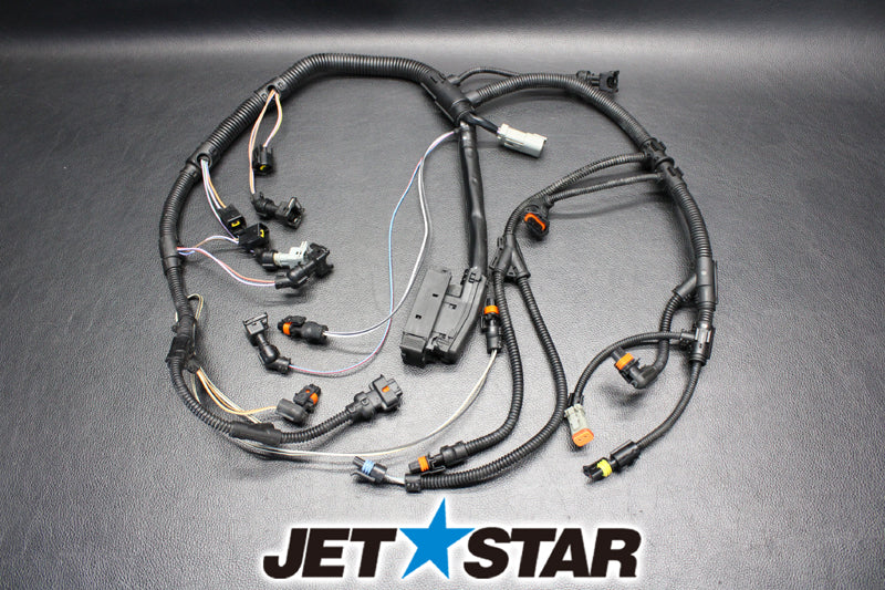 Used 420664056 WIRING HARNESS ASS'Y [S674-055]